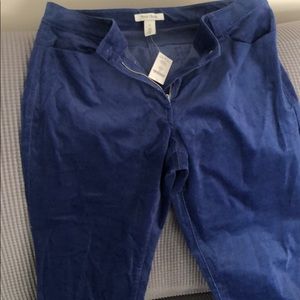 Corduroy blue pants. Bran new tags still on.